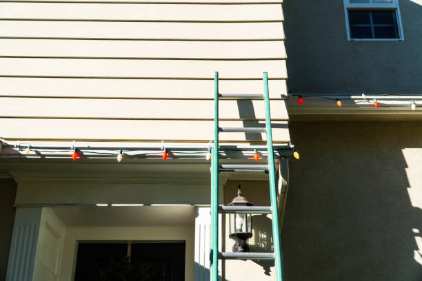 Best Aluminum Siding Installation  in Livonia, MI