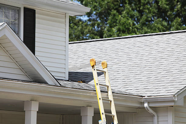 Best Residential Vinyl Siding Installation  in Livonia, MI