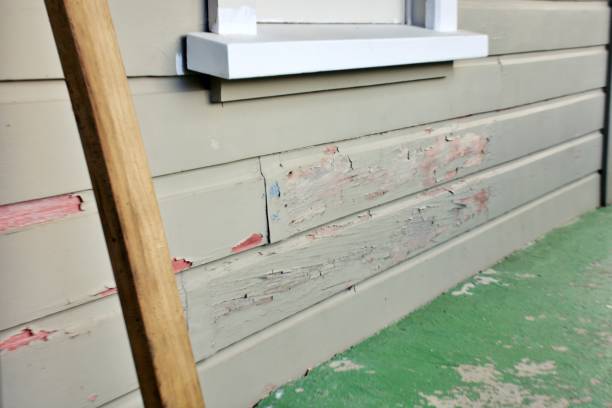 Affordable siding repair and maintenance services in Livonia, MI