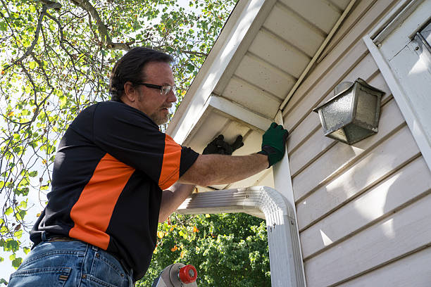 Best Engineered Wood Siding  in Livonia, MI