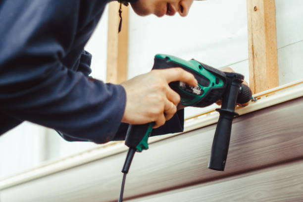 Best Insulated Siding Installation  in Livonia, MI